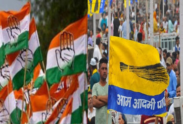Salaya Municipality stands out as BJP routed, Congress and AAP share victory