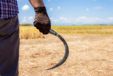 Three murders in 48 hours spark panic in Jamnagar district