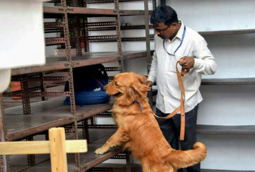 Bomb threat at Veraval court; premises evacuated, no explosives found