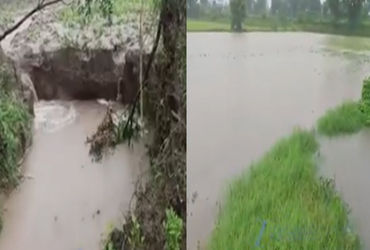 VIDEO: Banaskanthaના માલોત્રા ગામનું તળાવ તૂટતા ખેતરોમાં પાણી, સ્કૂલ જળમગ્ન, ખેડૂતો નિરાશ.