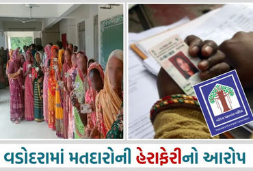 વડોદરામાં મતદારોની મોટાપાયે હેરાફેરીનો આરોપ, મતદાર યાદી તાત્કાલિક સુધારણાની કોંગ્રેસની માગ