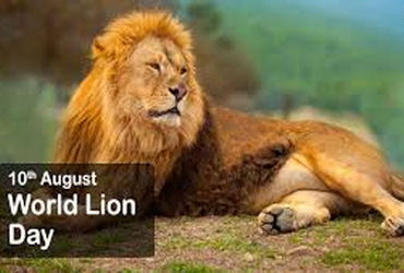 રવિવારે શાળાઓ ચાલુ રાખી વિશ્વ સિંહ દિન ઉજવણીનાં પરિપત્ર સામે ઉગ્ર વિરોધ