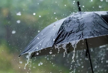 Ahmedabad likely to see another spell of monsoon rains after August 15