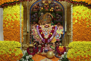શ્રી કષ્ટભંજન દેવ હનુમાનજી દાદાને 250 કિલો હજારીગલના ફુલોનો દિવ્ય શણગાર