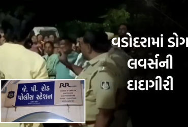 વડોદરામાં રખડતા શ્વાનનો વિવાદ ઉગ્ર બન્યો: સોસાયટીના પ્રમુખનું અપહરણ કરી ઢોર માર માર્યો