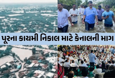 બનાસકાંઠાના પૂરગ્રસ્ત વિસ્તારોની કોંગ્રેસે લીધી મુલાકાત, સરકાર પાસે રૂ.1,000 કરોડના પેકેજની માંગ