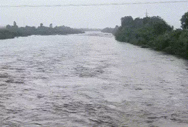અમરેલીના ખોડિયાર ડેમમાંથી પાણી છોડાતા શેત્રુંજી નદી બે કાંઠે, ઠેબી અને સુરવો ડેમ ભરાયા