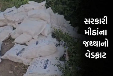 પંચમહાલમાં રોડ કિનારે બિનવારસી હાલતમાં સરકારી મીઠાંનો જથ્થો મળ્યો, તંત્ર સામે ગંભીર સવાલ ઊઠ્યાં
