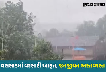 દક્ષિણ ગુજરાતમાં તોફાન સાથે વરસાદ, વાપીમાં વીજળી પડતા 2ના મોત, વૃક્ષો-વીજપોલ ધરાશાયી