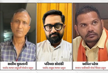 VIDEO: 'માપમાં રે, એટ્રોસિટીમાં ફસાવી દઇશ' ભાજપ નેતાનું કોલ રેકોર્ડિંગ વાઇરલ