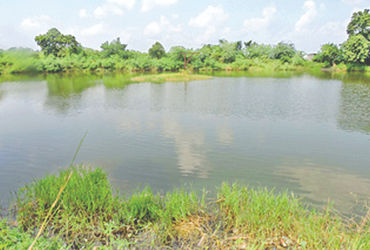 વડોદરાની સંસ્થાએ નાનકડા ગામના તળાવને ઈકો ફ્રેન્ડલી ટેકનિકથી પુનઃજીવિત કર્યું