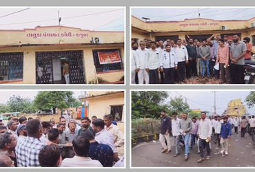 પાક નુકસાની વળતર માટે ડિજિટલ સર્વેનો વિરોધ, અમરેલીમાં 72 સરપંચની TDOને રજૂઆત