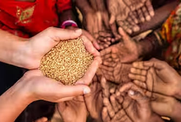 20 પડતર માંગણીઓને લઈ જિલ્લાના 700 રેશન ડીલરો વિતરણ વ્યવસ્થાથી અળગા રહ્યાં