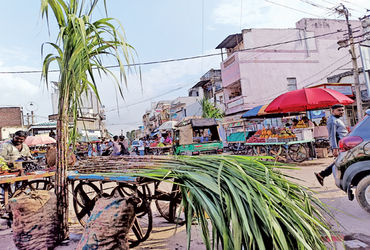 ખેડામાં રામજી અને રણછોડજી મંદિરોમાં તુલસી વિવાહ યોજાયા