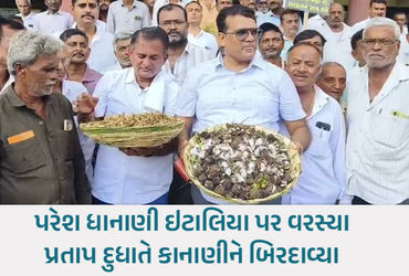 "ખેડૂતોને ગીરવે મૂક્યા તો ખેર નથી," અમરેલીથી શરૂ થયેલા 'ખેડૂત સત્યાગ્રહ'માં ધાનાણીની AAP-સરકારને ચિમકી