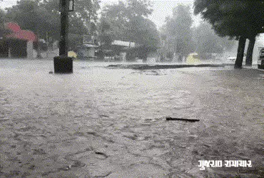 ગુજરાતના 47 તાલુકામાં કમોસમી વરસાદ, સૌથી વધુ કચ્છના અંજારમાં 3 ઇંચ