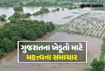 ખેડૂતો માટે ટૂંક સમયમાં વિશેષ આર્થિક પેકેજ જાહેર થાય તેવી શક્યતા, ગાંધીનગરમાં બેઠકોનો ધમધમાટ