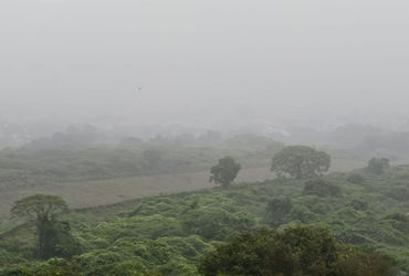 એક્સપ્રેસ હાઈવે પર ધુમ્મસના કારણે વાહન વ્યવહારમાં મુશ્કેલી  : હાઇવે ઓથોરિટીનું વાહન ધીમેથી હંકારવા સૂચન