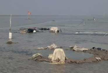 કમોસમી વરસાદથી કચ્છનું નાનું રણ જાણે દરિયો બન્યું; અગરિયાઓને નુકશાન થયું.