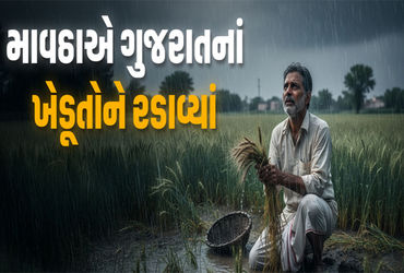 મહુવા પંથકના અસરગ્રસ્ત ખેડૂતોને વળતર ચૂકવવામાં વિલંબ થતા ખેડૂતોમાં રોષ.