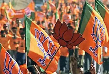 આણંદ ભાજપ સંગઠન નિમણૂક: Anand અને Sojitraના ધારાસભ્યોનું Lobbing!