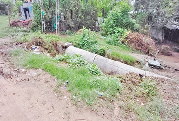 મહુધાના નાની ખડોલ તળાવમાં ગામનો કચરો ઠલવાતા દુર્ગંધ અને રોગચાળાનો ભય.