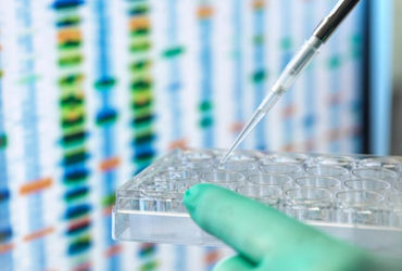 11 જિલ્લાના 31 આદિવાસી સમુદાયના DNA સેમ્પલ લેવાશે, આનુવંશિક બીમારી પર અંકુશ મેળવવા નિર્ણય.