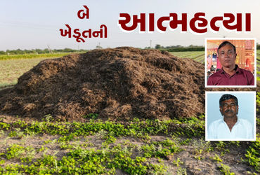 પાક નિષ્ફળ જતાં અરડોઈ અને રેવાણીયામાં બે ખેડૂતની આત્મહત્યા: સૌરાષ્ટ્રના ખેડૂતો માટે આઘાતજનક ઘટના.