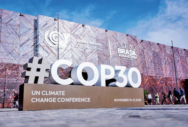 ક્લાઈમેટ સમિટ: પઈની પેદાશ નહીં અને ઘડીની નવરાશ નહીં - સમિટોના તારણોનું અમલીકરણ નહીં થતાં વિરોધ.