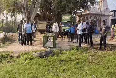 વડોદરાના વરણામા ગામે મંદિર નજીકથી 10 ફૂટના કદાવર CROCODILEનું રેસ્ક્યુ કરવામાં આવ્યું.