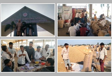 અમરેલી માર્કેટ યાર્ડમાં જગતનો તાત હેરાન-પરેશાન, મગફળી વેચવા આવેલા ખેડૂતોને કલાકો સુધી ઊભા રહેવા મજબૂર