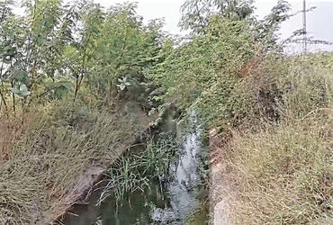 વલ્લભીપુર બ્રાન્ચની D-2 કેનાલની સફાઈ ન થવાથી ખેડૂતોને હાલાકી ભોગવવી પડી રહી છે.