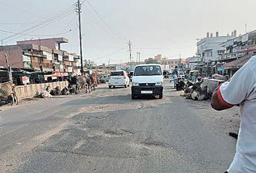 રખડતા ઢોરની અડફેટે 5 વર્ષમાં 3 વ્યક્તિએ જીવ ગુમાવ્યા