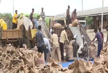 આણંદ જિલ્લામાં ટેકાના ભાવે 467 metric ton ડાંગરની ખરીદી કરવામાં આવી.