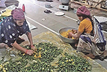 વઢવાણના રાયતા મરચાં: સ્વાદ સાત સમંદર પાર, 50+ મહિલાઓને રોજગારી પૂરી પાડે છે.