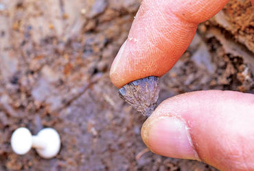 ઈંગ્લેન્ડમાં અગ્નિની શોધના લાખો વર્ષ જૂના પુરાવા પુરાતત્વવિદોને મળ્યા.