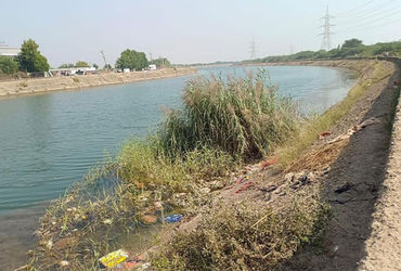 કેનાલમાં ગંદકી અને લીલનું સામ્રાજ્ય: 2 લાખ લોકોના આરોગ્ય સામે ખતરો ઊભો થયો છે.