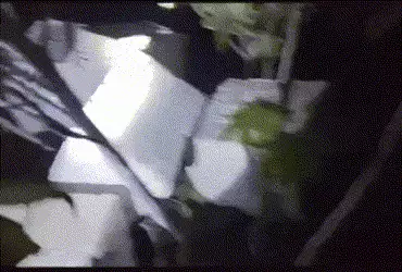 ગાંધીનગર: માણસામાં એરંડાની આડમાં ચાઈનીઝ દોરીનો કારોબાર ઝડપાયો, 960 રીલ જપ્ત પણ આરોપી ફરાર