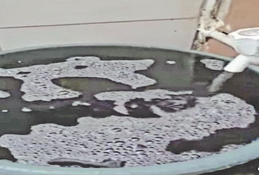 મધુસુધન સોસાયટીમાં 15 દિવસથી ગટરનું ગંધાતું કાળું પાણી આવતા રહીશો પરેશાન થતા હાલાકી ભોગવી રહ્યા છે.