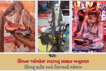 ભવનાથનો મેળો: નાગા સાધુઓની 'જટા' પાછળનું રહસ્ય, કેમ શિવના વૈરાગી સ્વરૂપનું કરે છે અનુકરણ?