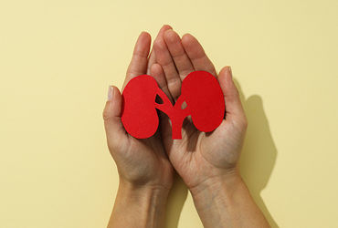 વેલેન્ટાઈન્સ ડે પર 'પ્રેમાત્મક' કિસ્સા: 354 પતિ-પત્ની દ્વારા એકબીજાને કિડનીનું દાન.