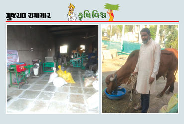 માત્ર 4 વીઘામાં ખેડૂતે ખેતી અને મૂલ્યવર્ધન દ્વારા રૂપિયા 7 લાખની આવક મેળવી