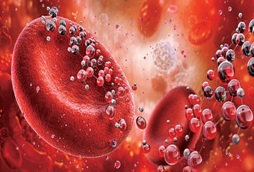 માણસોના લોહીમાં કાર્બન ડાયોક્સાઈડનું સ્તર વધી રહ્યું છે, જે સ્વાસ્થ્ય માટે અત્યંત જોખમી છે.