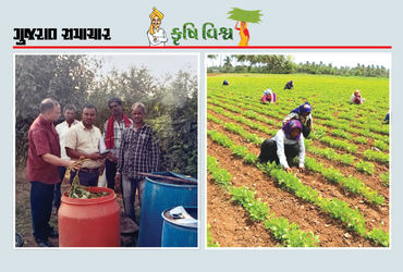 દેશમાં જમીનની ઘટતી જતી ફળદ્રુપતા, પ્રાકૃતિક ખેતી જ એકમાત્ર ઉપાય