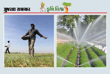 ખેતરમાં ખાતરનો આડેઘડ છંટકાવ ટાળો, ફર્ટિગેશન પદ્ધતિ અપનાવો, જુઓ, કેટલો ફાયદો થાય છે