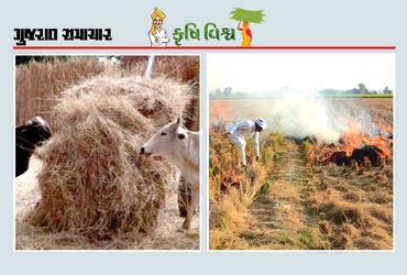 કાપણી પછીના અવશેષો કચરો નહીં, કાચુ સોનું છે તેની વૈજ્ઞાનિક માવજત જમીનને ફળદ્રુપ બનાવશે