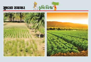 ઉપયોગ કરતા આવડે તો તપતા સૂરજનો તડકો ખેતીમાં અનેક લાભ કરાવે