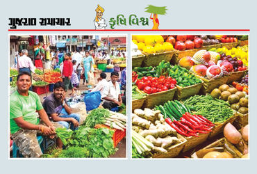 કેનિંગ અને પેકેજિંગ પણ અપનાવી જુઓ, આર્થિક ફાયદો થશે