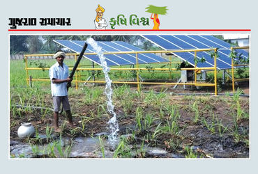 સૌર ઊર્જા : ખેતી ખર્ચ ઘટાડશે, ગુણવત્તા વઘારશે