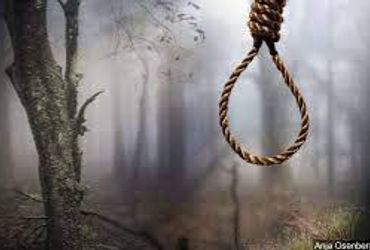 કૃષ્ણનગરમાં યુવકની વૃક્ષ પર લટકતી લાશ મળી